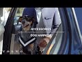 Volvo Accessories | Dog Harness