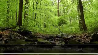 Khalid Al Jaleel - Surah Al Furqan / Heart Touching Recitation ( English subtitles)