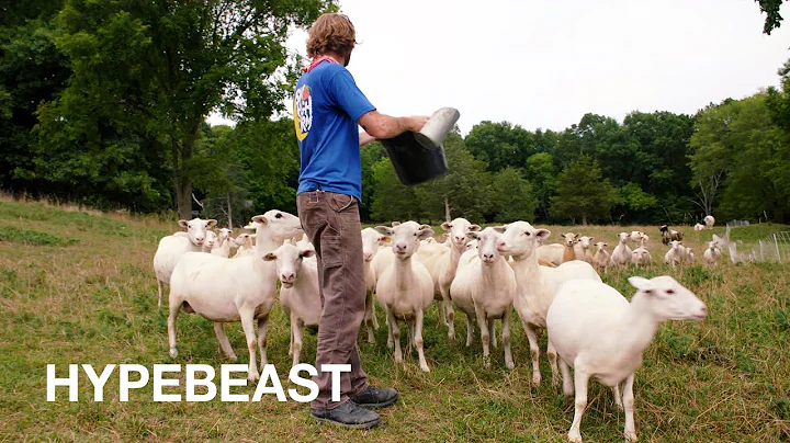 The Farm Collaborating With Supreme, FA, and IRAK ...
