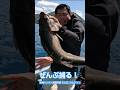 レイクトラウトぜんぶ捕る！in 本栖湖！LakeTrout, Salvelinus namaycush≫生物ハンター加藤英明【 公式】かとチャン