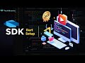 How to Install Dart SDK &amp; Run Dart Code in VS Code and Terminal (2025)
