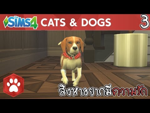 The Sims 4: สัตว์เลี้ยงสุดน่ารัก | ตอนที่ 3 สิงหาอยากมีความรัก