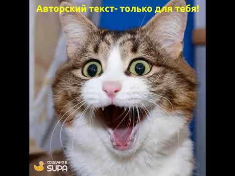 Уникальный авторский текст на заказ!