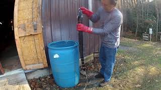 Tanning a Coon hide for beginners