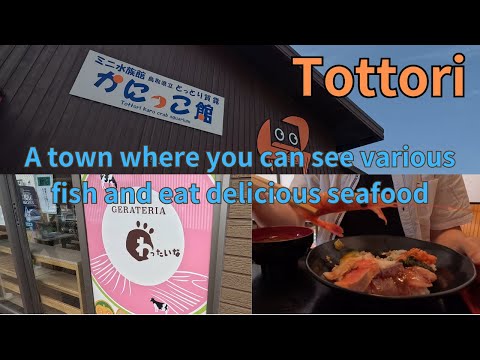 【Japan】【Tottori】Traveling Tottori Prefecture by Limited Express Train