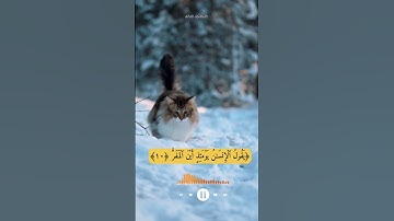 سعد الغامدي/يَقُولُ ٱلْإِنسَٰنُ يَوْمَئِذٍ أَيْنَ ٱلْمَفَرُّ ‎﴿١٠﴾/من سورة القيامة ﴿٨﴾راحة النفسيه 🌺