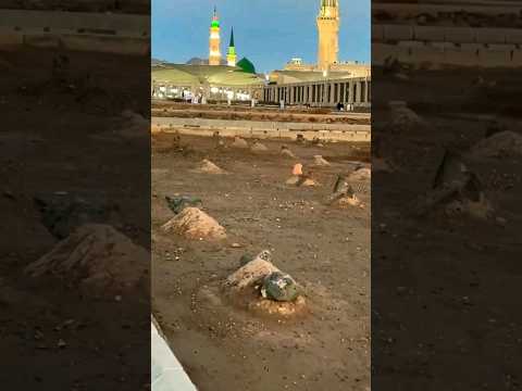 Jannat ul baqi