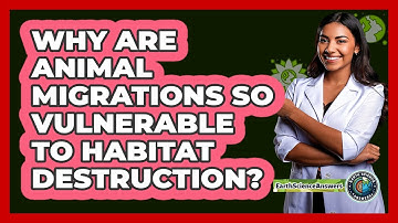 Why Are Animal Migrations So Vulnerable To Habitat Destruction? - Earth Science Answers