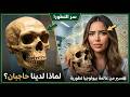 هل سألت نفسك يوما لماذا لدينا حواجب الإجابة ستصدمك