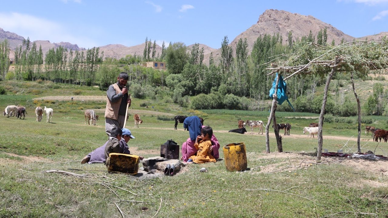 A Peaceful Family In Village Afghanistan|The Shepherd Sister Prepares Rural Style Food For Family|