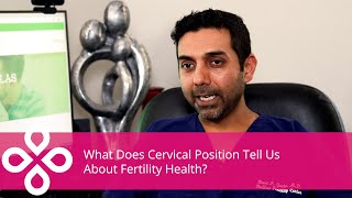 What does cervical position tell us about fertility health? screenshot 5