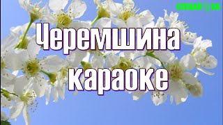 Черемшина (мінус караоке, Не задавка) Джанні Стелла