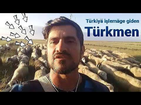 Türkiyä işlemäge giden Türkmen maslahaty (Taze Turkmen Prikol 2019)