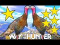 One to Five Star Wild Turkey | Way of the Hunter
