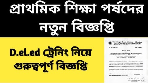 Primary D.el.ed 2021-2023 session|Primary TET 2022 interview|TET 2022|Primary interview