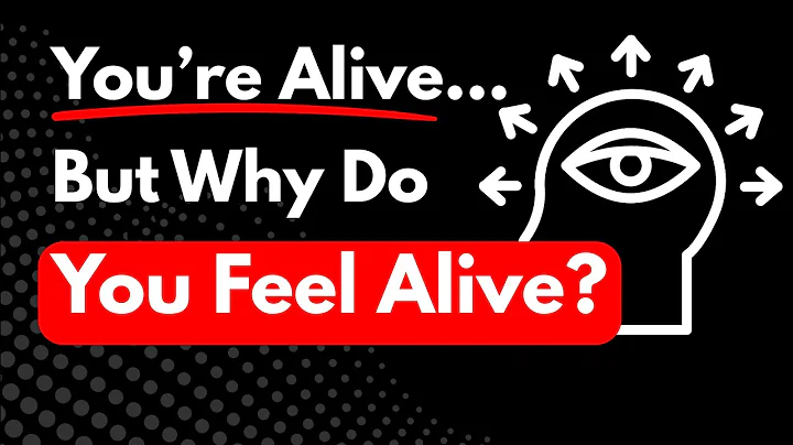 The Hard Problem of Consciousness — A Journey Inward