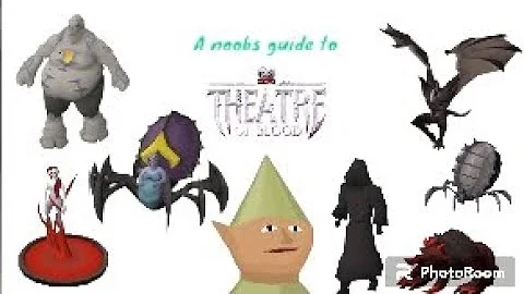 A noobs guide to Theatre Of Blood (Entry Mode)