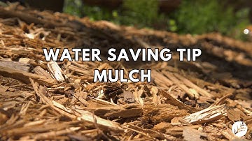 Water Saving Tip: Mulch