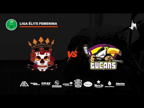 Skulls Almàssera VS SAB Tucans Asme hockey linea