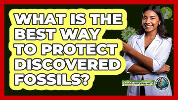 What Is The Best Way To Protect Discovered Fossils? - Earth Science Answers
