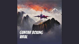 Guntar Boxing Viral