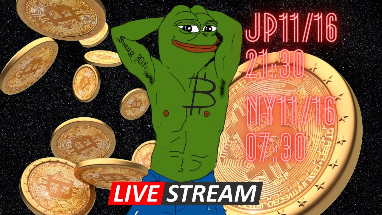 ビットコインニューヨーク Tatsugo Channel Youtube Channel Analytics And Report Powered By Noxinfluencer Mobile