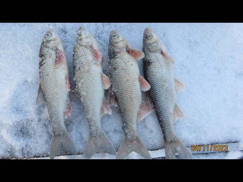 2 часть. Новые тропы.Удачная рыбалка.Следы зверя.