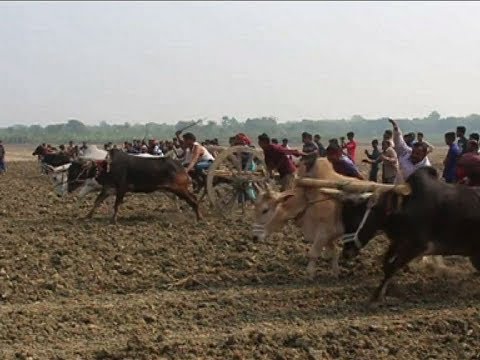 ভিডিও: কি গাড়ি চেভি মালিবু অনুরূপ?