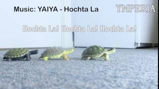 Ymperian Turtles - Yaiya - Hochta La