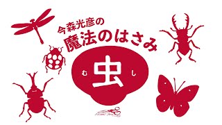 真作/朝見香城/虫図/キリギリス図/扇面/金散らし/布袋屋掛軸HI-720 今森光彦】型紙セット「虫」− モンキチョウ - YouTube