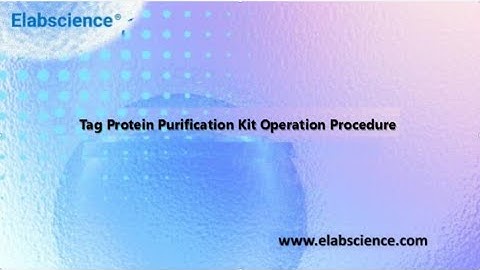 Eukaryotic Tag Protein Purification Operation Guide Video