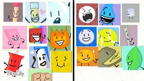 Bfdi viewer voting 2