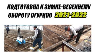 Подготовка к зимне-весеннему обороту огурцов 2021-2022 год.