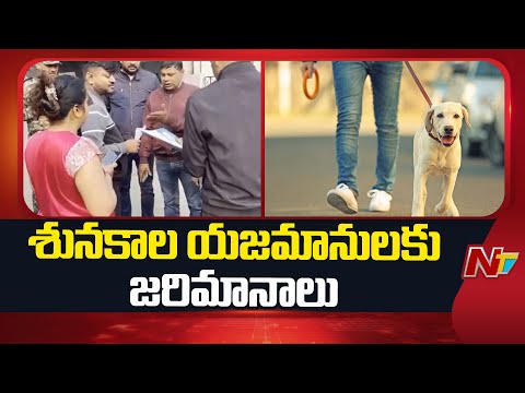 లక్నోలో శునకాల యజమానులకు జరిమానాలు | Lucknow | NTV Telugu - NTVTELUGU