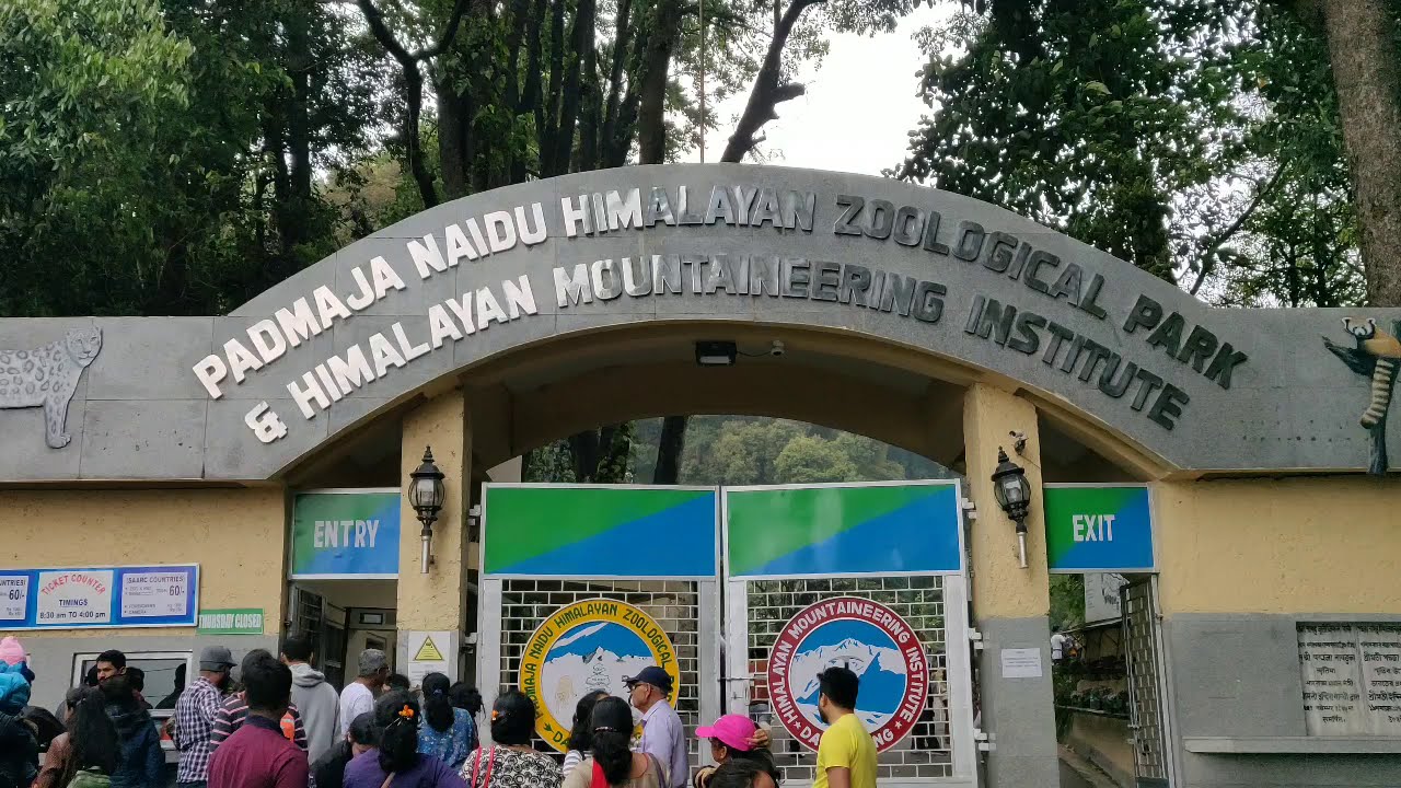 biggest zoo in india area wise The largest high altitude zoo in India- Padmaja Naidu Himalayan Zoological Park | Darjeeling | India