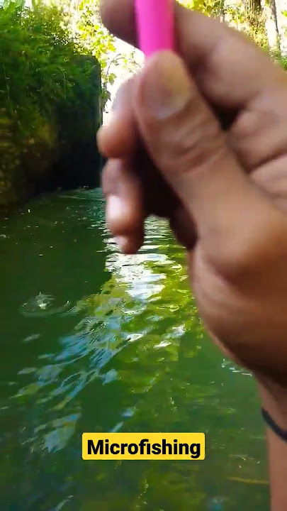 Microfishing Ikan Wader #shorts