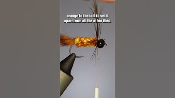 Carp Bug | Fly Tying Tutorial