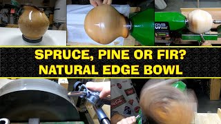 Woodturning - Natural Edge Bowl - Spruce, Pine or Fir