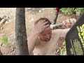 Camping Hack: Get a piping hot shower in the middle of the woods