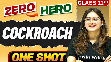 Cockroach | Full Chapter in ONE SHOT | Class 11 Biology 🔥