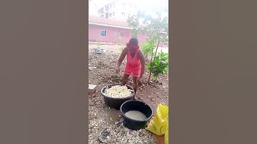 Thumbnail of cassava processing #food #comedyshorts #cooking #life #farming #reels #viralvideo #public #shorts