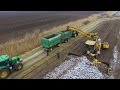 Ropa Euro Maus Loading Sugar Beet - MTZ 1025.2 + 14x John Deere Tractors (Cukorrépa szállítás)