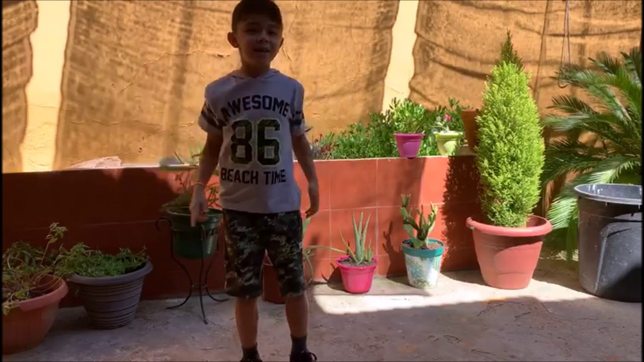 BAILE FIN DE CURSO 2º PEÑARROYA
