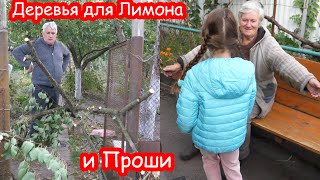 VLOG Операция жёсткая. Но она будет жить