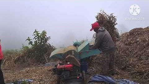 Khees wb li qeb ntaus kom tas hnub yuav xa mus tsev lawm