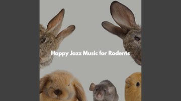 Debonair Backdrops for Keynote Tastes