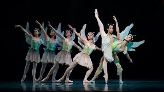 Musicians Insights Ani Bukujian On A Midsummer Nights Dream