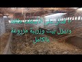 ١٠ فدان على الأسفلت أرض محافظة بالأمر المباشر طاقة وديزل بيت وزريبة