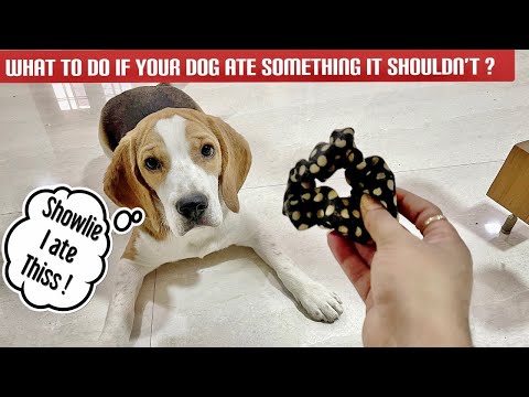 Video: Šuo suspaudimo simptomai