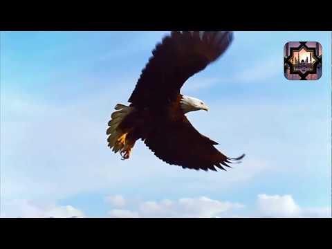 Mujhe Dua-o Me Yaad Rakhna Best Whatsapp Status